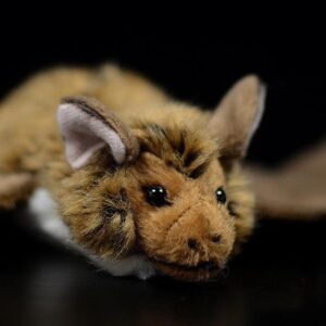 Peluche Chauve-Souris Réaliste