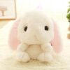 Lolita le lapin kawaii pour enfants