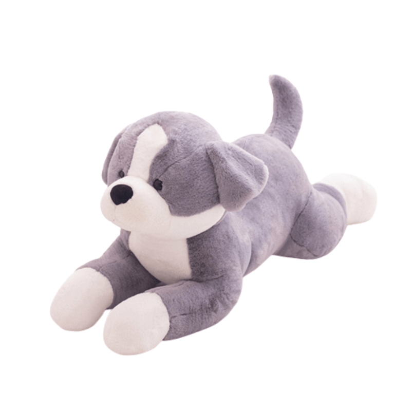 Chien Doudou – Image 3