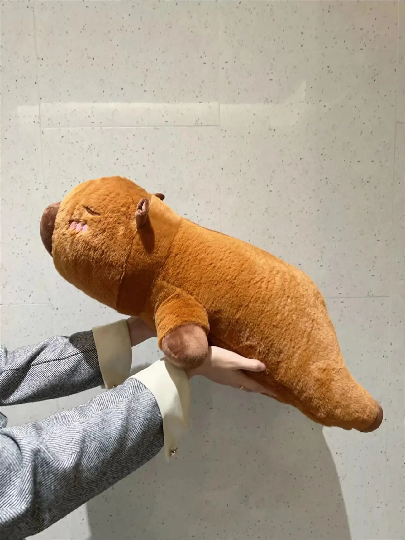 Oreiller de sommeil long Kawaii Capybara – Image 5