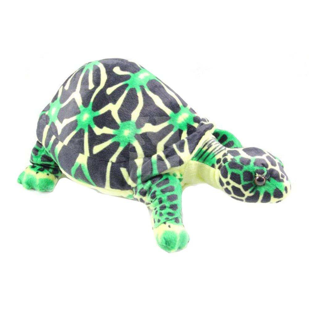 Peluche Tortue – Image 2