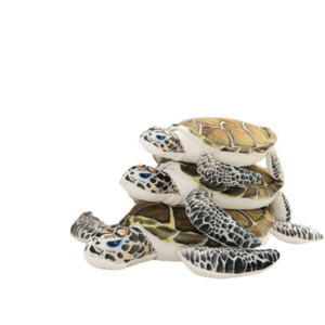 Doudou Tortue
