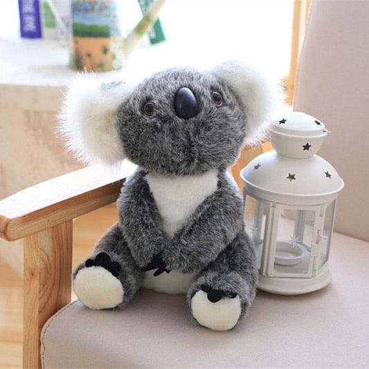Peluche Koala d'Australie – Image 3