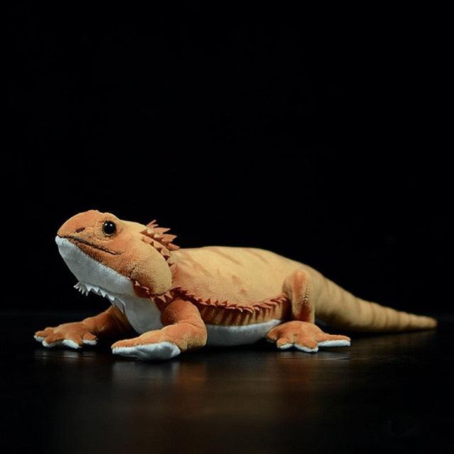 Peluche Dragon Barbu – Image 2