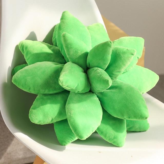 Peluches Plantes Succulentes – Image 4