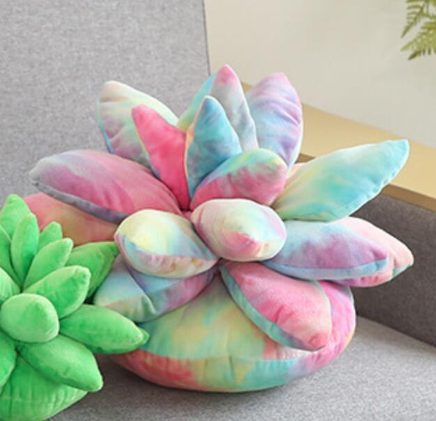 Peluches Plantes Succulentes – Image 2