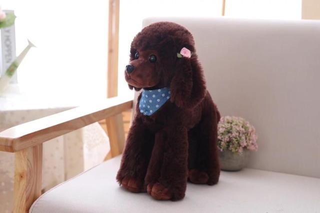 Peluche caniche 12 – Image 6