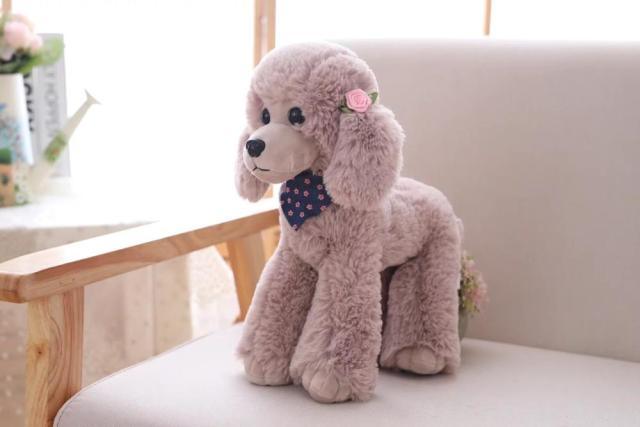 Peluche caniche 12 – Image 4