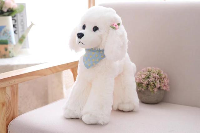 Peluche caniche 12 – Image 5