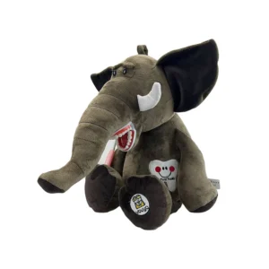 Peluches dentaires (modèle de dent), brosse à dents