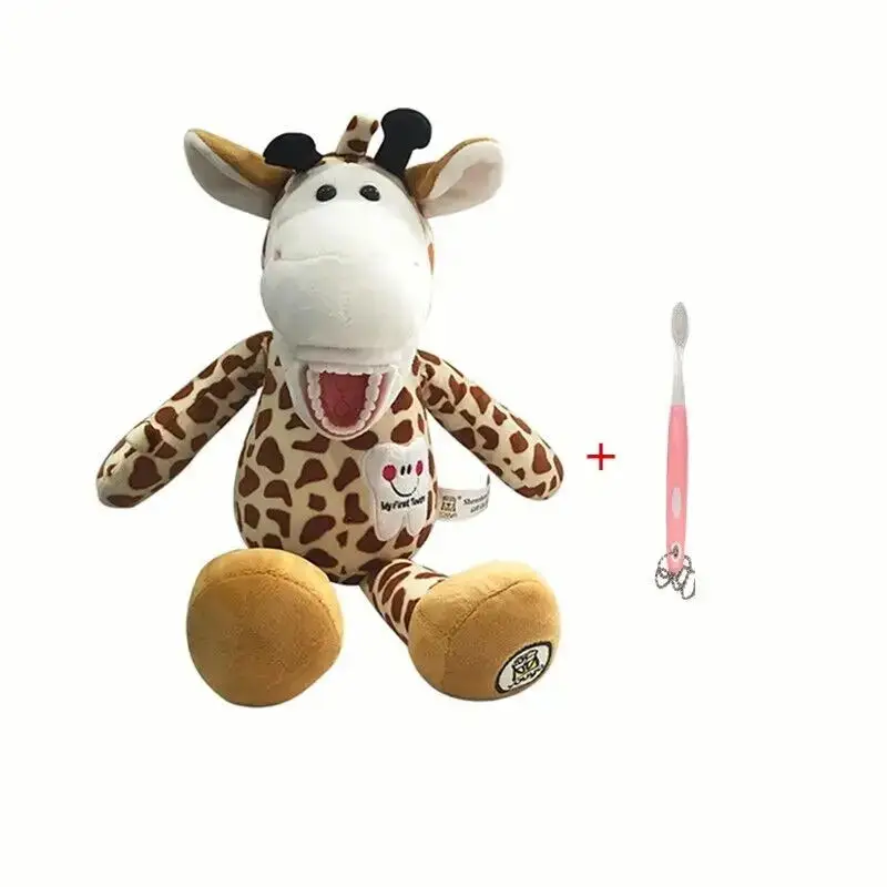 Modèle pédagogique de dentition animale pour l'apprentissage du brossage – Image 4